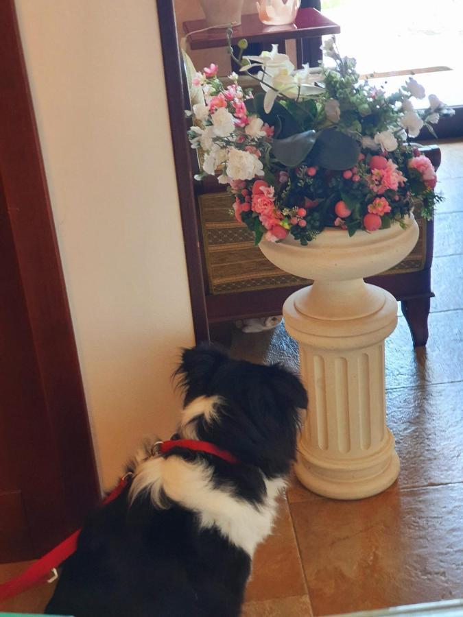 Griko Country Hotel เลชเช ภายนอก รูปภาพ